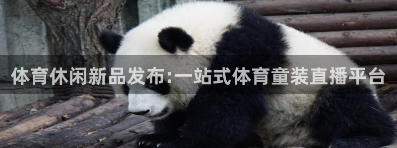 搜球8直播：体育休闲新品发布:一站式体育童装直播平台