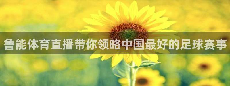 nba直播搜球吧：鲁能体育直播带你领略中国最好的足球赛事