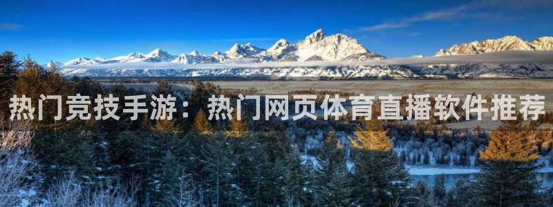 nba搜球吧直播：热门竞技手游：热门网页体育直播软件推荐