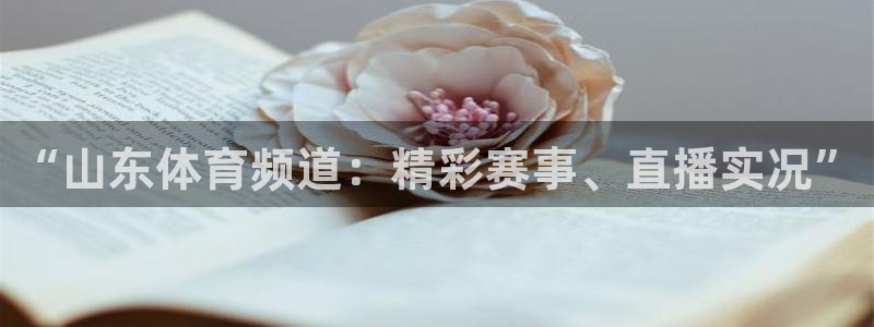 搜球吧手机直播nba直播：“山东体育频道：精彩赛事、直播实况”