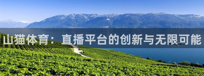 搜球吧零点吧nba直播：山猫体育：直播平台的创新与无限可能