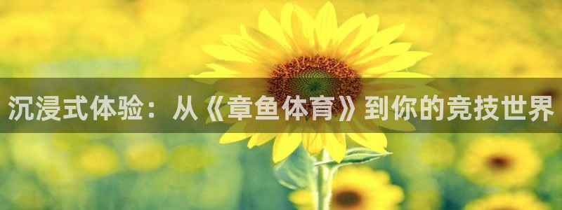 搜球体育下载：沉浸式体验：从《章鱼体育》到你的竞技世界