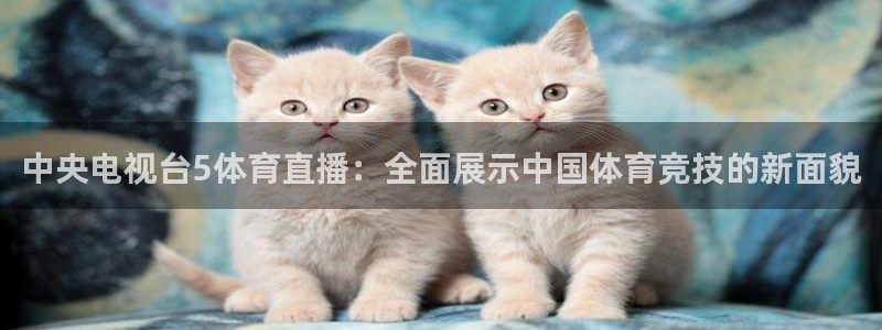 搜球直播体育：中央电视台5体育直播：全面展示中国体育竞技的新面貌