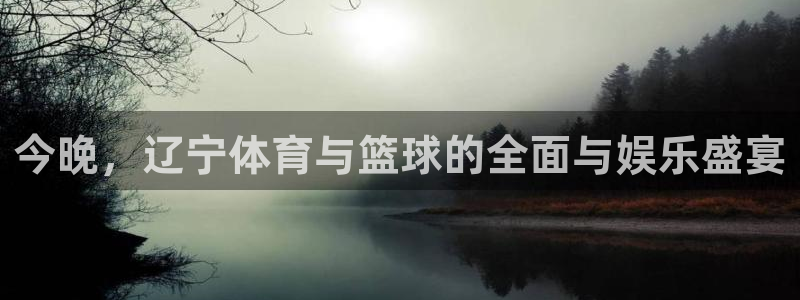 搜球吧体育直播：今晚，辽宁体育与篮球的全面与娱乐盛宴
