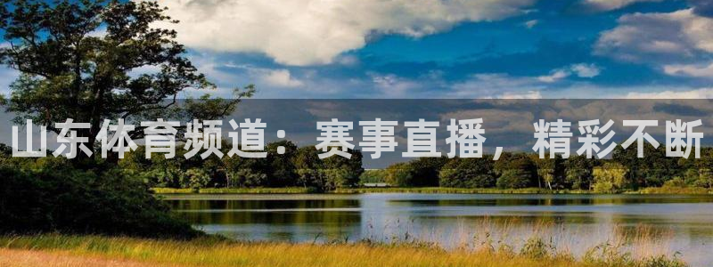 nba搜球吧直播：山东体育频道：赛事直播，精彩不断