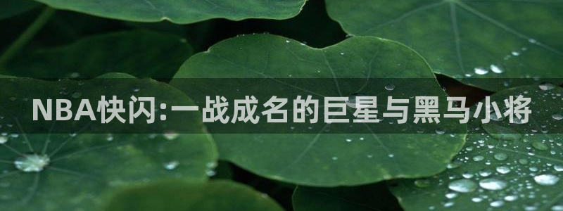 搜球吧零点吧nba直播：NBA快闪:一战成名的巨星与黑马小将